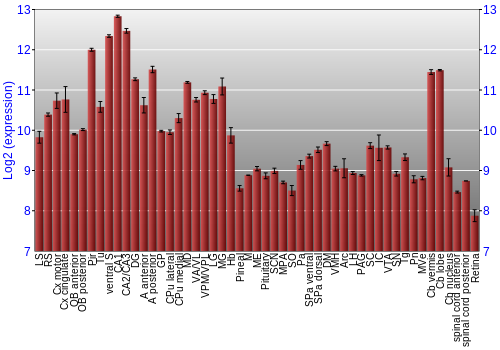 Expression graph