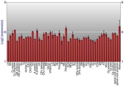 Expression graph