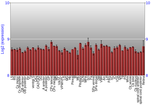 Expression graph