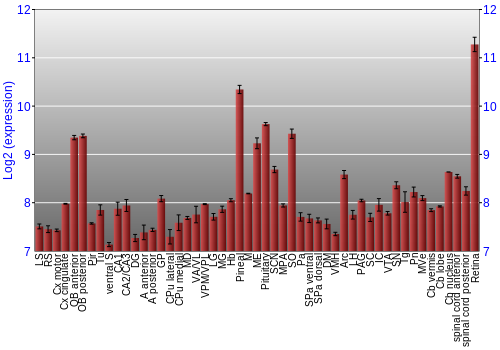 Expression graph