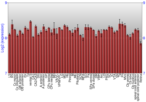 Expression graph