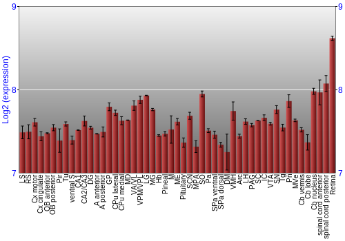 Expression graph