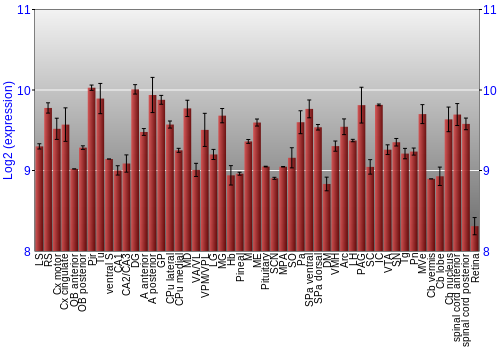 Expression graph