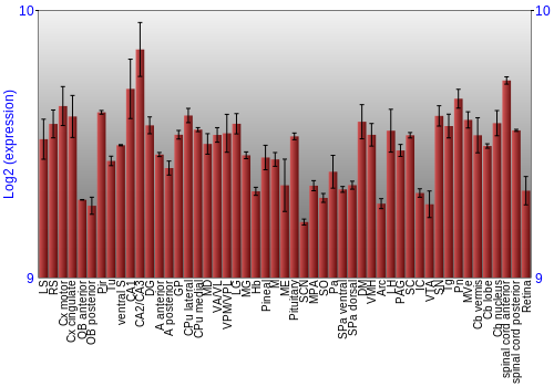 Expression graph