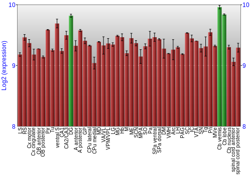 Multi-state expression graph