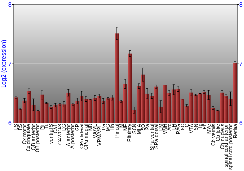 Expression graph