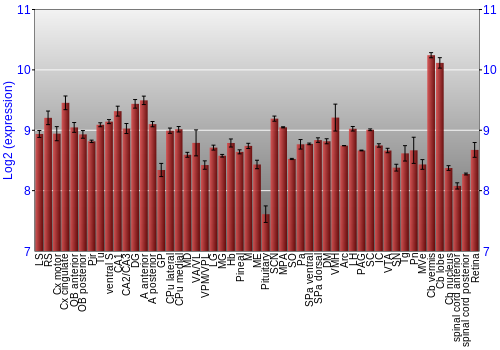 Expression graph