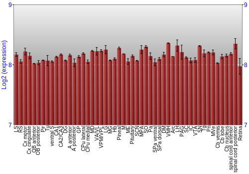 Expression graph