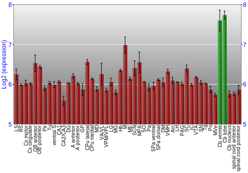 Multi-state expression graph