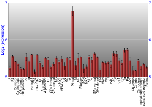 Expression graph