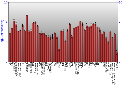 Expression graph