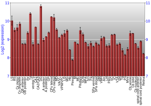 Expression graph