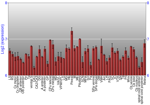Expression graph