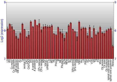Expression graph