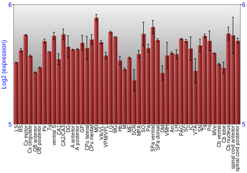 Multi-state expression graph