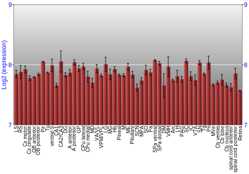 Expression graph