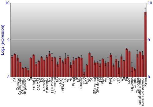 Expression graph