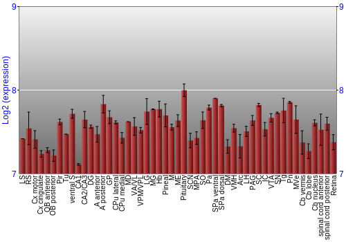 Expression graph