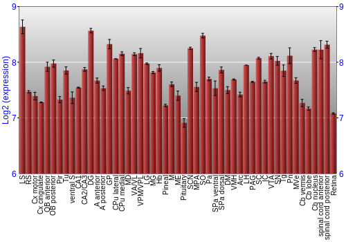 Expression graph