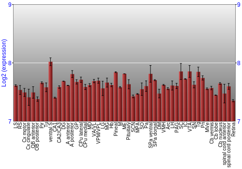 Expression graph