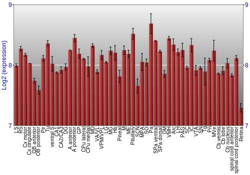 Expression graph