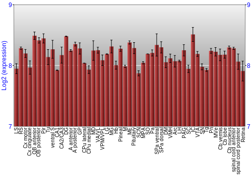 Expression graph