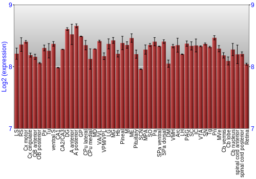 Expression graph