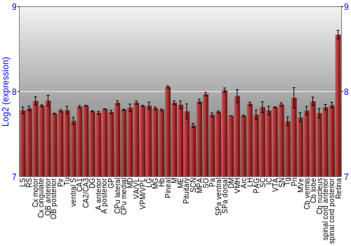 Expression graph