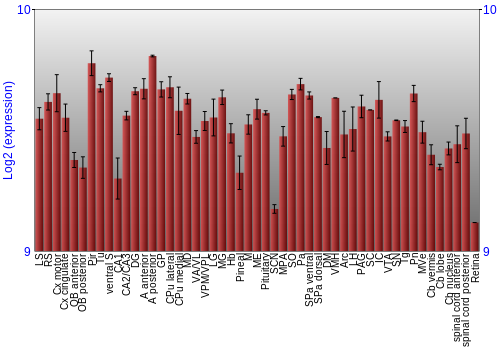 Expression graph