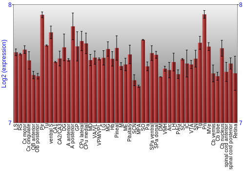 Expression graph