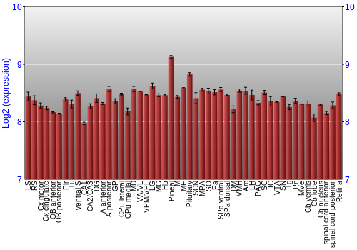 Expression graph