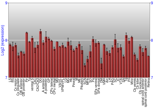 Expression graph