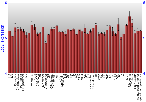 Multi-state expression graph