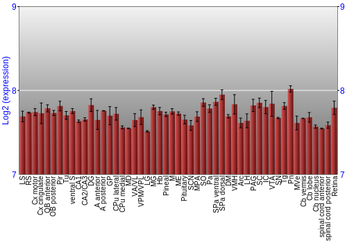 Expression graph