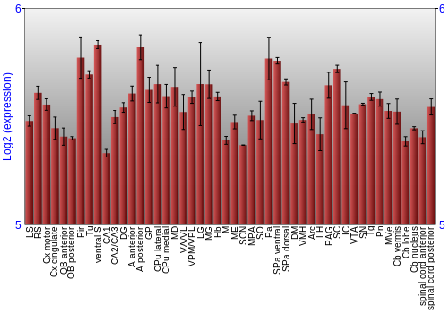 Multi-state expression graph