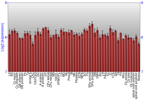 Expression graph