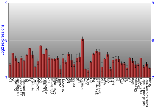 Expression graph