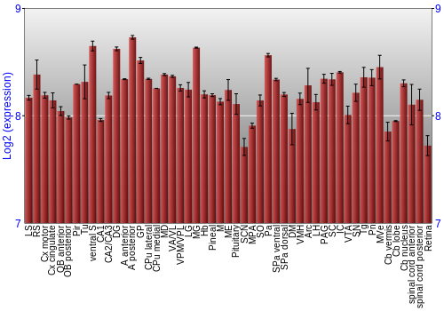 Expression graph