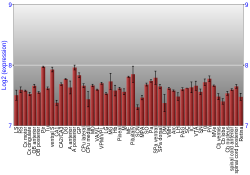 Expression graph