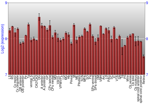 Expression graph