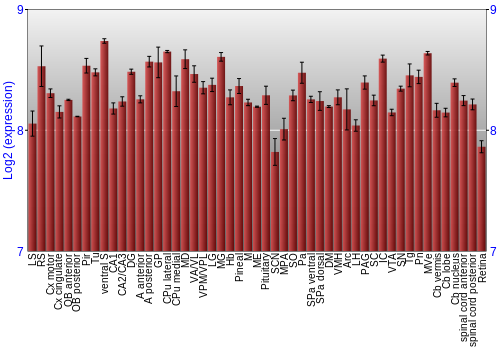 Expression graph