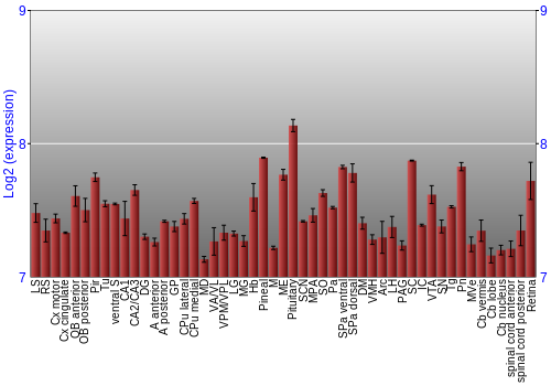 Expression graph