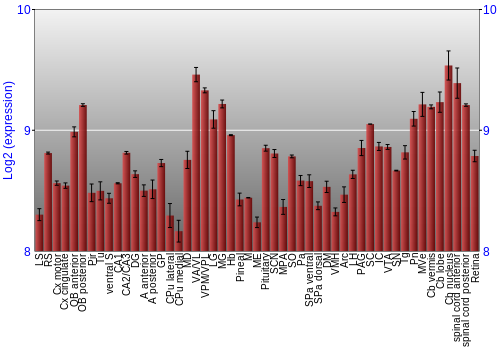 Expression graph