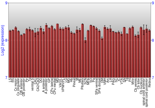 Expression graph