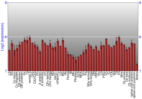 Expression graph