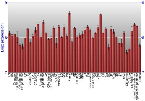 Expression graph