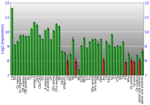 Multi-state expression graph