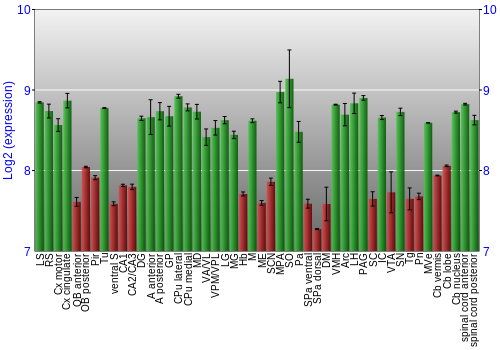 Multi-state expression graph