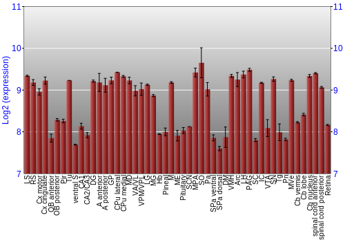 Expression graph