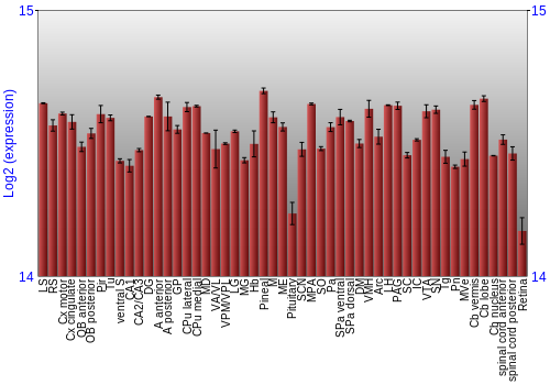Expression graph